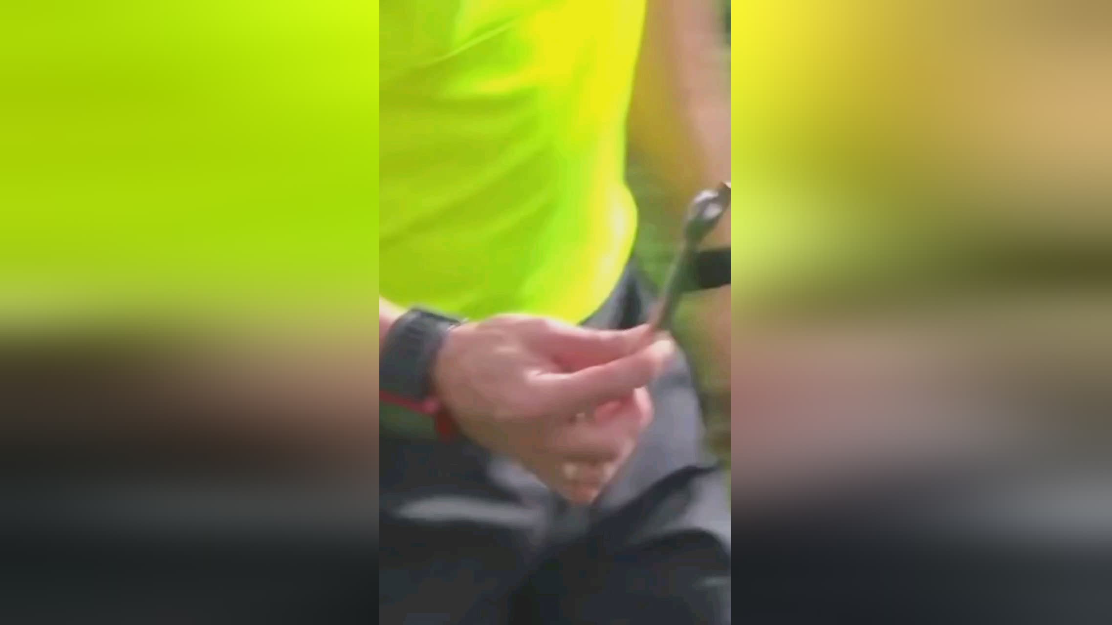 员以